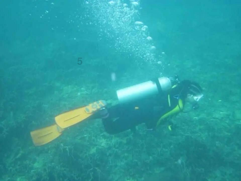 重返战场